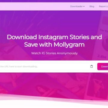 MollyGram Review: A Comprehensive Look at the New Social Platform