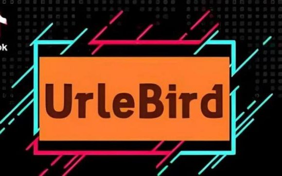 Exploring Urlebird: A Comprehensive Guide to TikTok Content Viewing